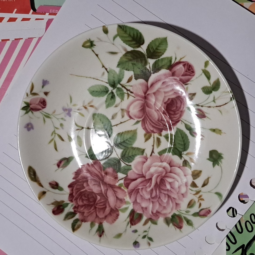 Burton + burton saucer no 062 green and pink